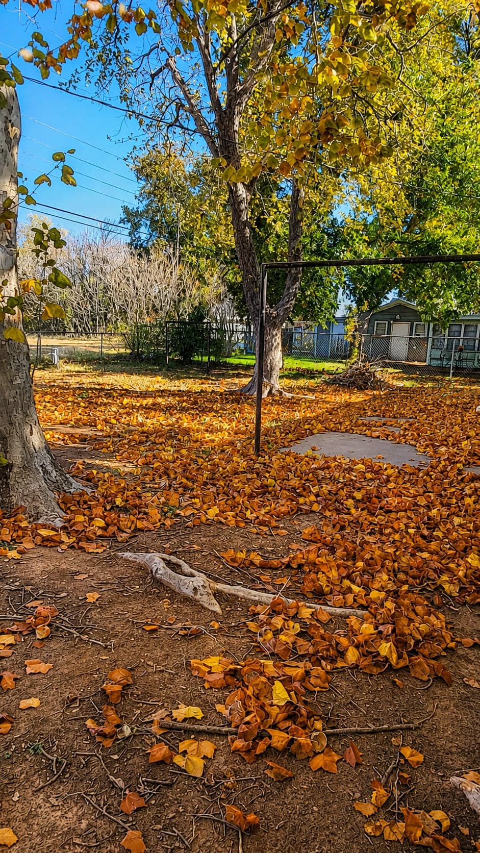 111 Highland – photo 2